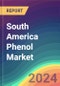 South America Phenol Market Analysis, Plant Capacity, Production, Operating Efficiency, Technology, Demand & Supply, End User Industries, Distribution Channel, Regional Demand, 2015-2030 - Product Thumbnail Image
