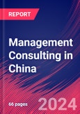 Management Consulting in China - Industry Market Research Report- Product Image