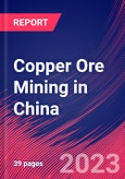 Copper Ore Mining in China - Industry Market Research Report- Product Image