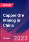 Copper Ore Mining in China - Industry Market Research Report - Product Thumbnail Image