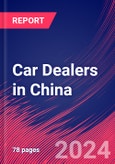 Car Dealers in China - Industry Market Research Report- Product Image