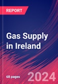 Gas Supply in Ireland - Market Research Report (2014-2029)- Product Image