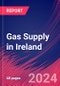 Gas Supply in Ireland - Market Research Report (2014-2029) - Product Image