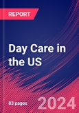 Day Care in the US - Industry Market Research Report- Product Image