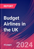 Budget Airlines in the UK - Industry Market Research Report- Product Image