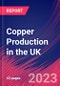 Copper Production in the UK - Industry Market Research Report - Product Thumbnail Image