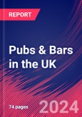 Pubs & Bars in the UK - Industry Market Research Report- Product Image