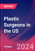 Plastic Surgeons in the US - Market Research Report (2014-2029)- Product Image