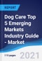 Dog Care Top 5 Emerging Markets Industry Guide - Market Summary, Competitive Analysis and Forecast to 2024 - Product Thumbnail Image