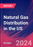 Natural Gas Distribution in the US - Industry Market Research Report- Product Image