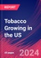 Tobacco Growing in the US - Market Size, Industry Analysis, Trends and Forecasts (2024-2029) - Product Thumbnail Image