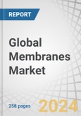 Global Membranes Market by Material (Polymeric, Ceramic), Technology (Reverse Osmosis (RO), Ultrafiltration (UF), Microfiltration (MF), Nanofiltration (NF)), Application (Water & Wastewater Treatment, Industrial Processing), Region - Forecast to 2029- Product Image