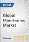 Global Membranes Market by Material (Polymeric, Ceramic), Technology (Reverse Osmosis (RO), Ultrafiltration (UF), Microfiltration (MF), Nanofiltration (NF)), Application (Water & Wastewater Treatment, Industrial Processing), Region - Forecast to 2029 - Product Thumbnail Image