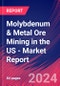 Molybdenum & Metal Ore Mining in the US - Industry Market Research Report - Product Thumbnail Image