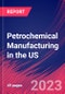 Petrochemical Manufacturing in the US - Industry Market Research Report - Product Thumbnail Image