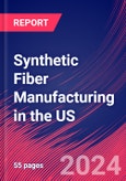 Synthetic Fiber Manufacturing in the US - Industry Market Research Report- Product Image