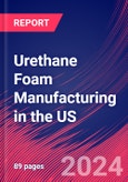 Urethane Foam Manufacturing in the US - Industry Market Research Report- Product Image