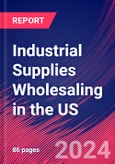 Industrial Supplies Wholesaling in the US - Market Research Report (2014-2029)- Product Image