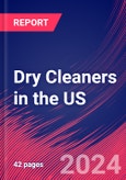 Dry Cleaners in the US - Industry Market Research Report- Product Image