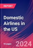 Domestic Airlines in the US - Industry Market Research Report- Product Image