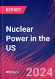 Nuclear Power in the US - Market Research Report- Product Image