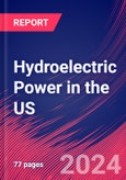 Hydroelectric Power in the US - Market Size, Industry Analysis, Trends and Forecasts (2024-2029)- Product Image