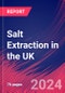 Salt Extraction in the UK - Industry Market Research Report - Product Image