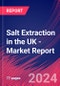 Salt Extraction in the UK - Industry Market Research Report - Product Thumbnail Image