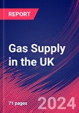 Gas Supply in the UK - Market Research Report (2014-2029)- Product Image