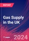 Gas Supply in the UK - Market Research Report (2014-2029) - Product Thumbnail Image