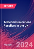 Telecommunications Resellers in the UK - Market Research Report (2014-2029)- Product Image