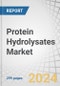 Protein Hydrolysates Market by Product Type (Milk, Meats, Marine, Plant, Egg, Yeast), Application (Infant, Sports, Clinical Nutrition, Weight Management, Dietary Supplements, Animal Feed, FnB), Source, Process, Form and Region - Forecast to 2028 - Product Thumbnail Image