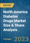North America Diabetes Drugs Market Size & Share Analysis - Growth Trends & Forecasts (2023 - 2028) - Product Thumbnail Image