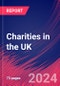 Charities in the UK - Industry Market Research Report - Product Image