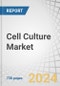 Cell Culture Market by Product (Consumables (Media, Sera, Reagents), Vessels (Roller Bottle, Cell Factory, Flask), Equipment (SU Bioreactor, Storage, Incubators, Filtration)), Application (mAbs, Vaccines, Regenerative Medicine) - Forecast to 2029 - Product Image