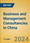 Business and Management Consultancies in China - Product Image