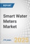 Smart Water Meters Market by Meter Type (Ultrasonic, Electromagnetic, Smart Mechanical), Application (Water Utilities, Industries), Technology (AMI, AMR), Component (Meters & Accessories, IT Solutions, Communications) - Global Forecast to 2030 - Product Image