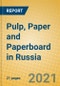 Pulp, Paper and Paperboard in Russia - Product Thumbnail Image