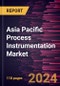 Asia Pacific Process Instrumentation Market Size and Forecast Share, Trend, and Growth Opportunity Analysis Report Coverage: By Technology, Flow Meter, Level Meter, and End-user Industry - Product Image