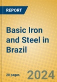 Basic Iron and Steel in Brazil- Product Image