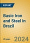 Basic Iron and Steel in Brazil - Product Image