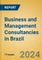 Business and Management Consultancies in Brazil - Product Thumbnail Image