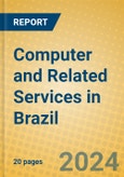 Computer and Related Services in Brazil- Product Image