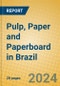 Pulp, Paper and Paperboard in Brazil - Product Thumbnail Image