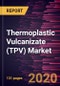 Thermoplastic Vulcanizate (TPV) Market Forecast to 2027 - COVID-19 Impact and Global Analysis By End Use Industry (Automotive, Building & Construction, Consumer Goods, Healthcare and Others) - Product Thumbnail Image