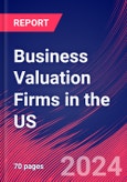 Business Valuation Firms in the US - Market Research Report (2014-2029)- Product Image