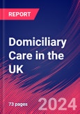 Domiciliary Care in the UK - Industry Market Research Report- Product Image