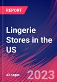 Lingerie Stores in the US - Industry Market Research Report- Product Image