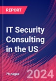 IT Security Consulting in the US - Market Research Report (2014-2029)- Product Image