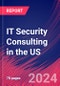 IT Security Consulting in the US - Market Research Report (2014-2029) - Product Image